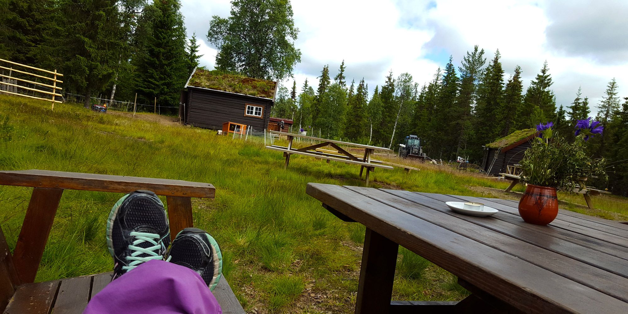 Ta en pust i bakken på Holsingseteren i Snåsa