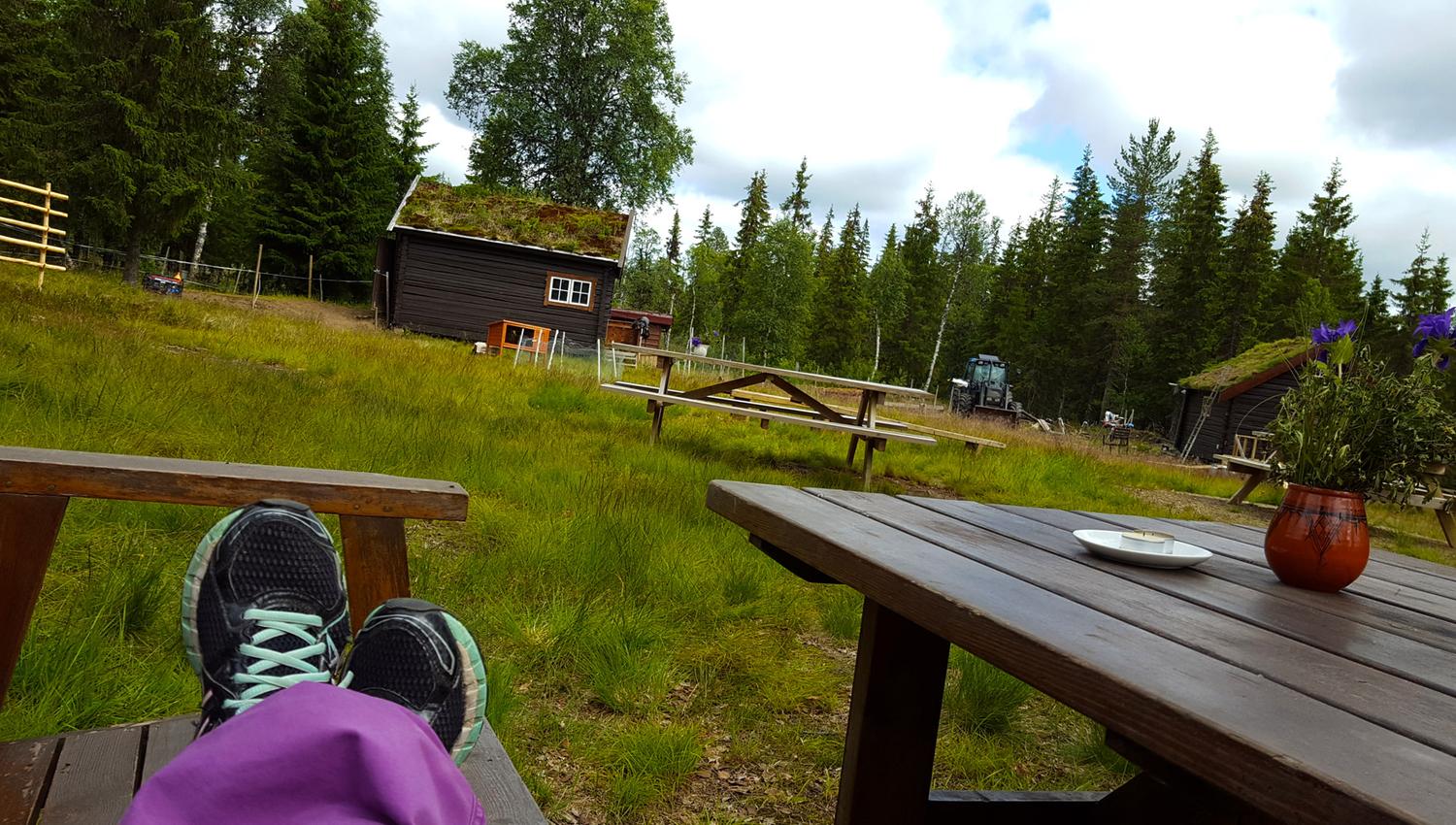 Ta en pust i bakken på Holsingseteren i Snåsa