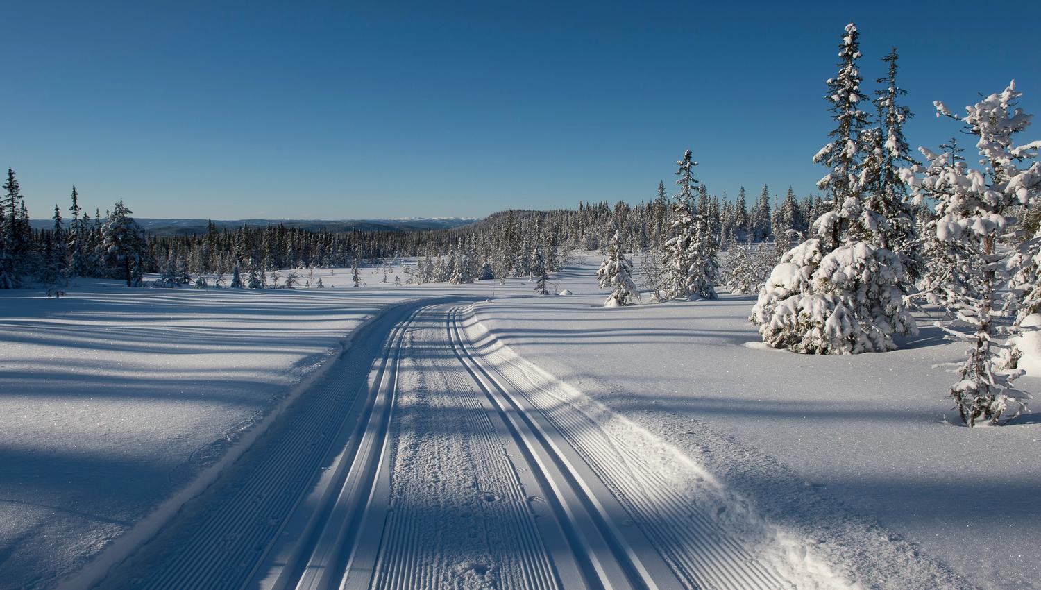 Skiløyper på Toten
