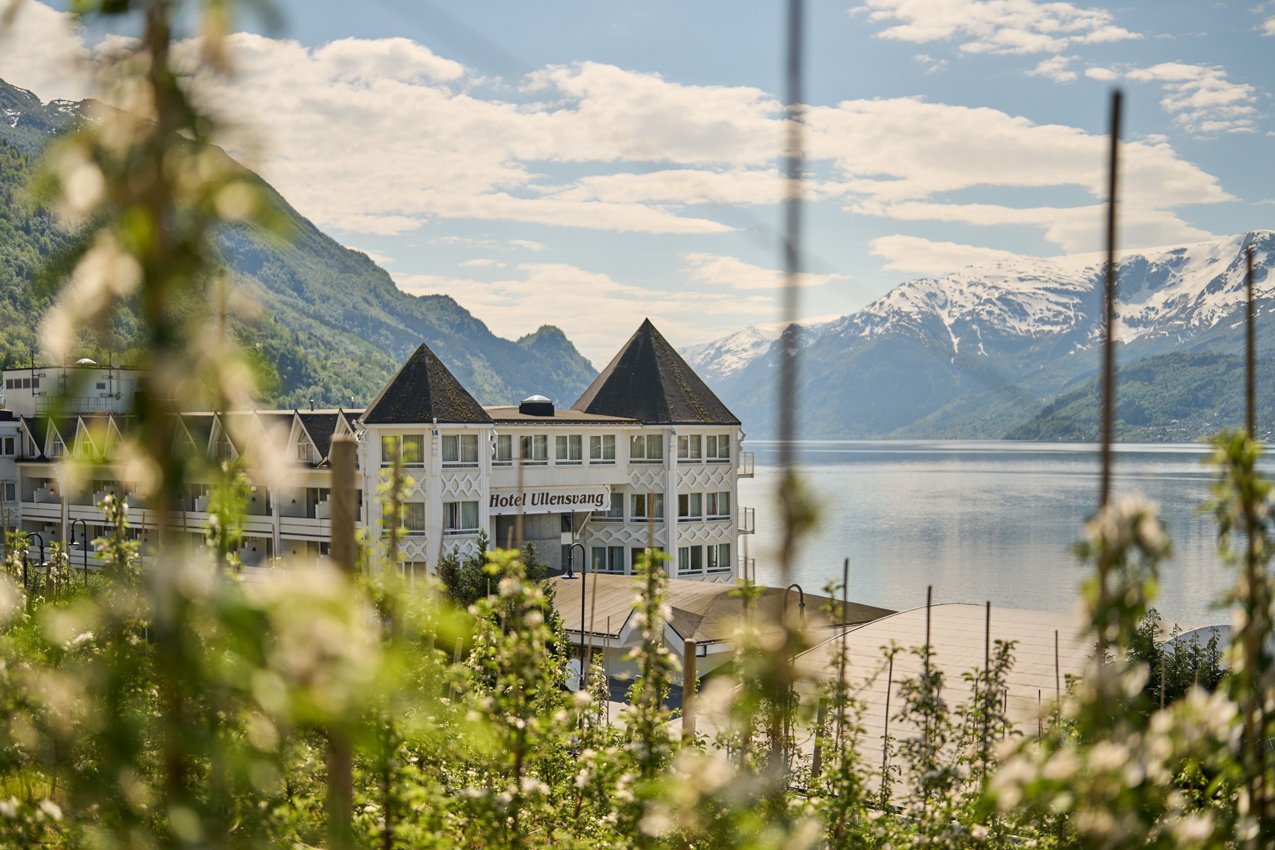 Hotel Ullensvang sett gjennom blomstrande frukttre – ein vårleg idyll ved fjorden.