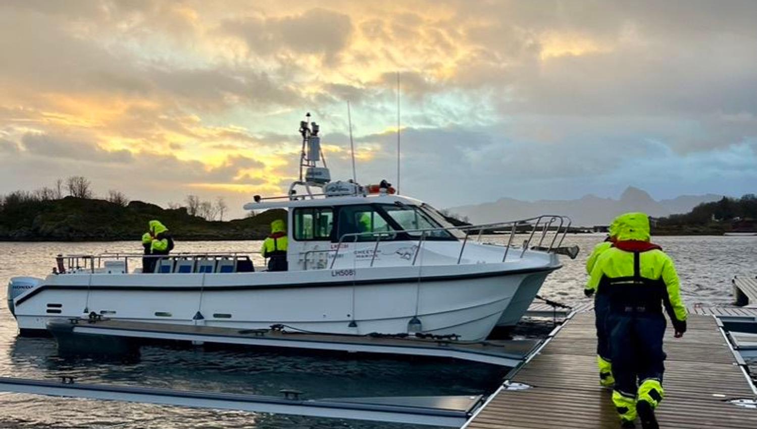 Ringstad Resort sea eagle safari