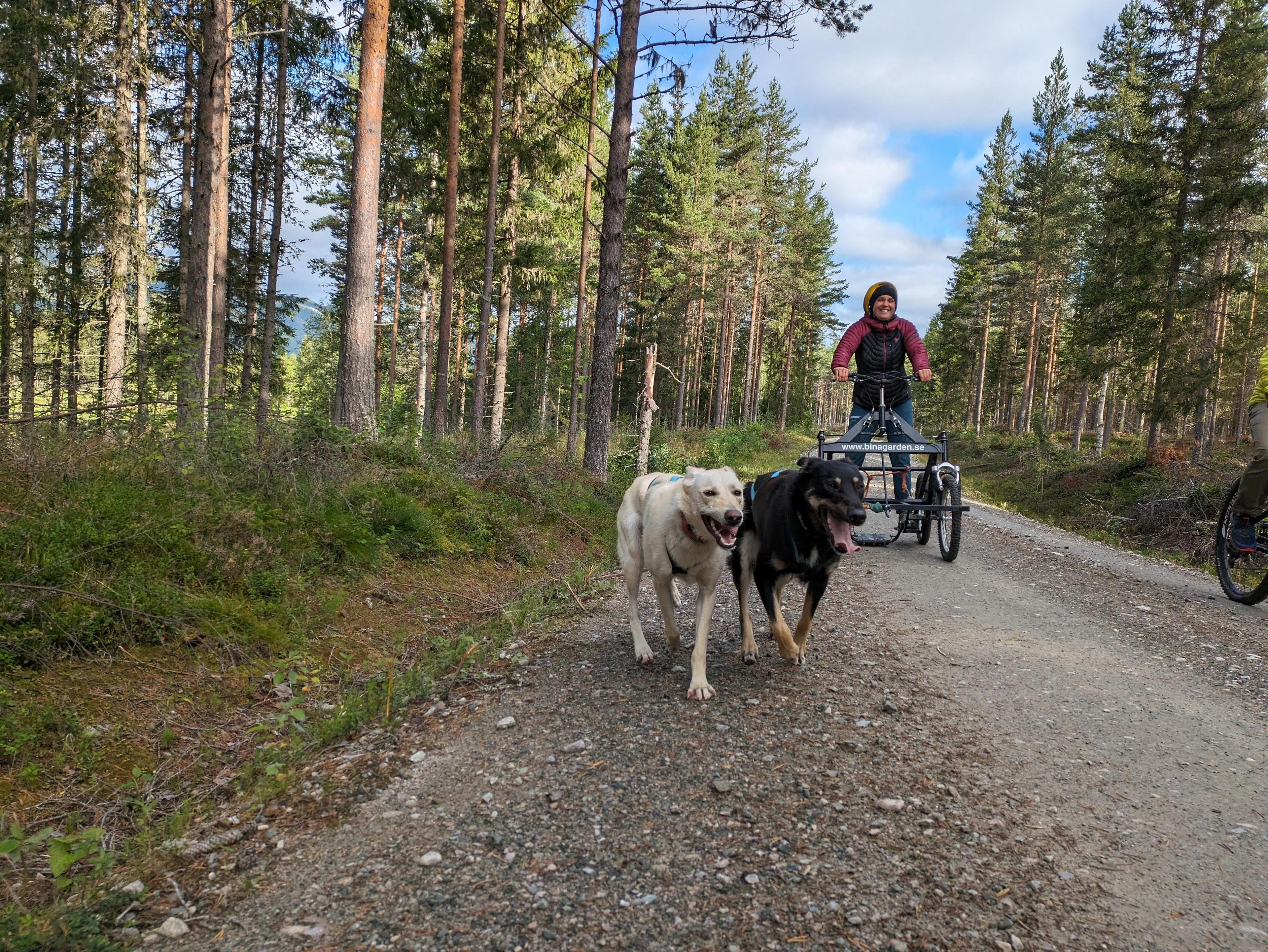 Åsgård wilderness farm - Eywas Trails