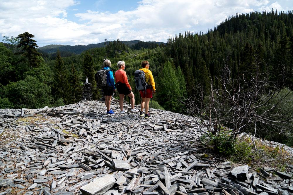 gruppe vandrere på toppen av brynesteinsbruddet