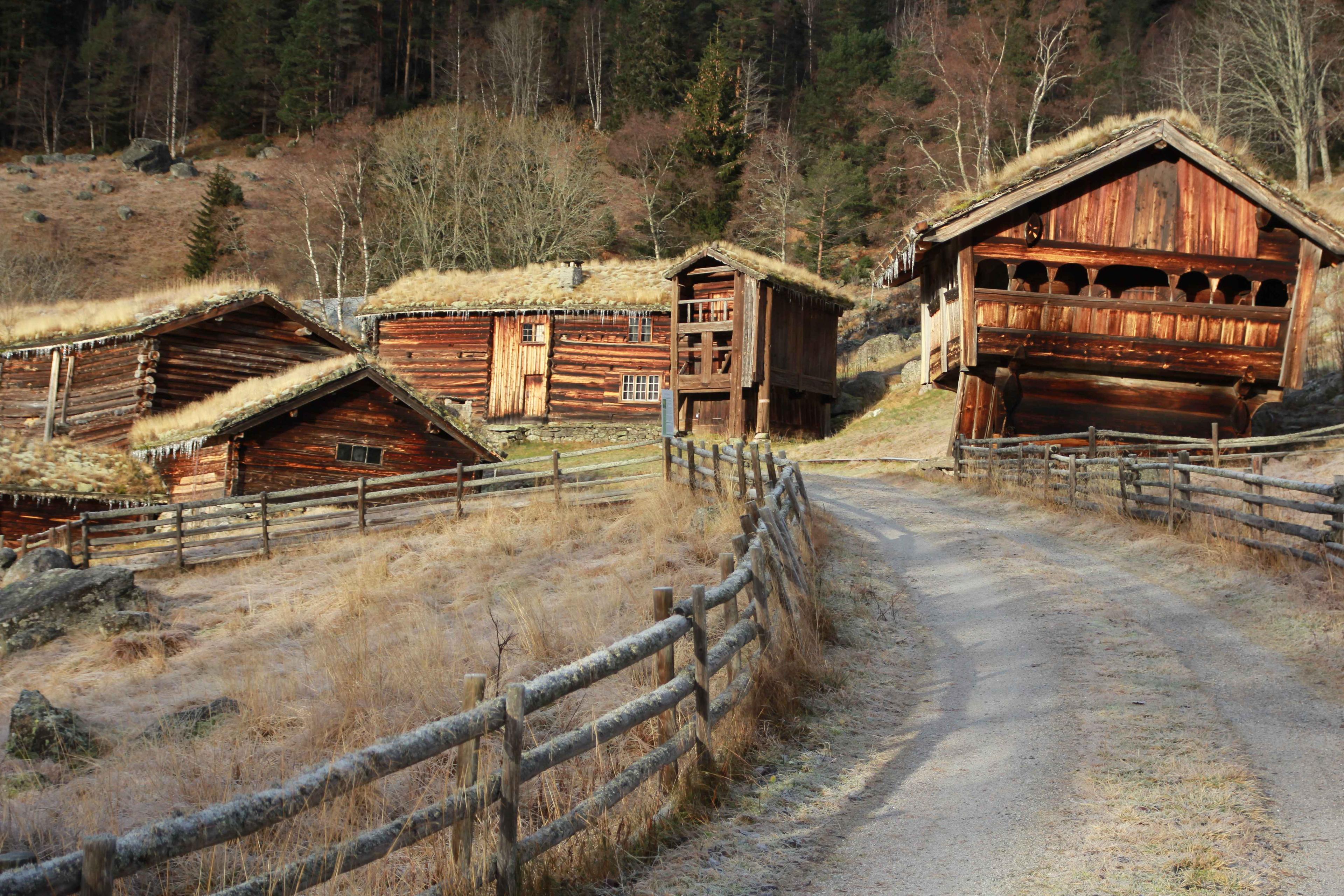 Middelage buildings with gras roof