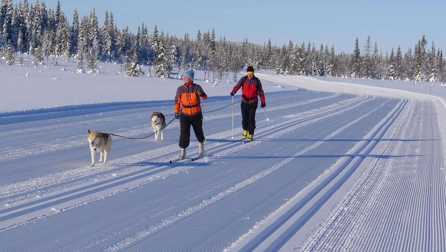 Lillehammer Birkebeinerløypa