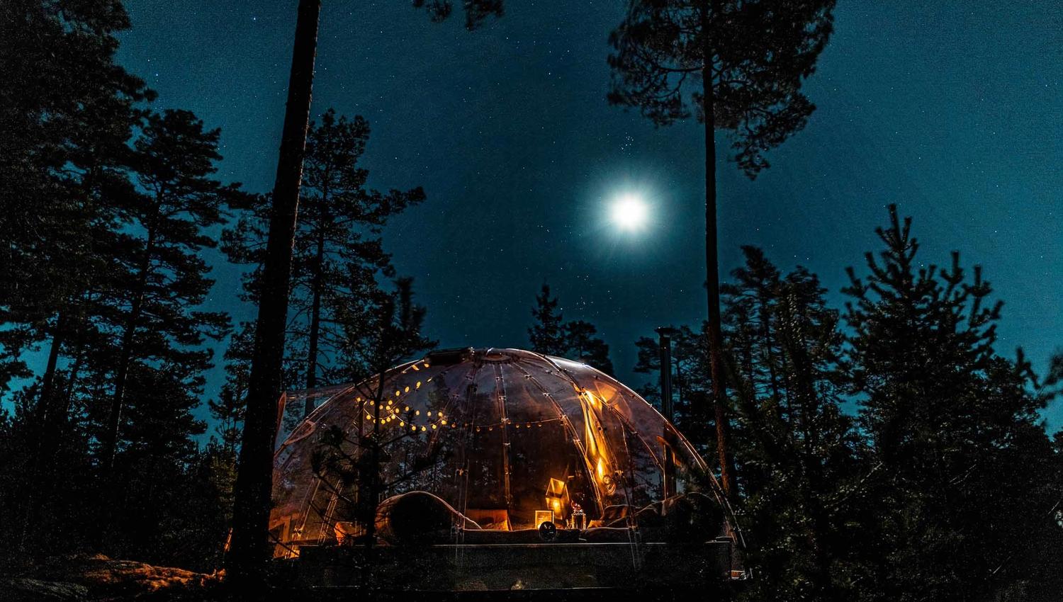 Iglo mellom trærne i måneskinn