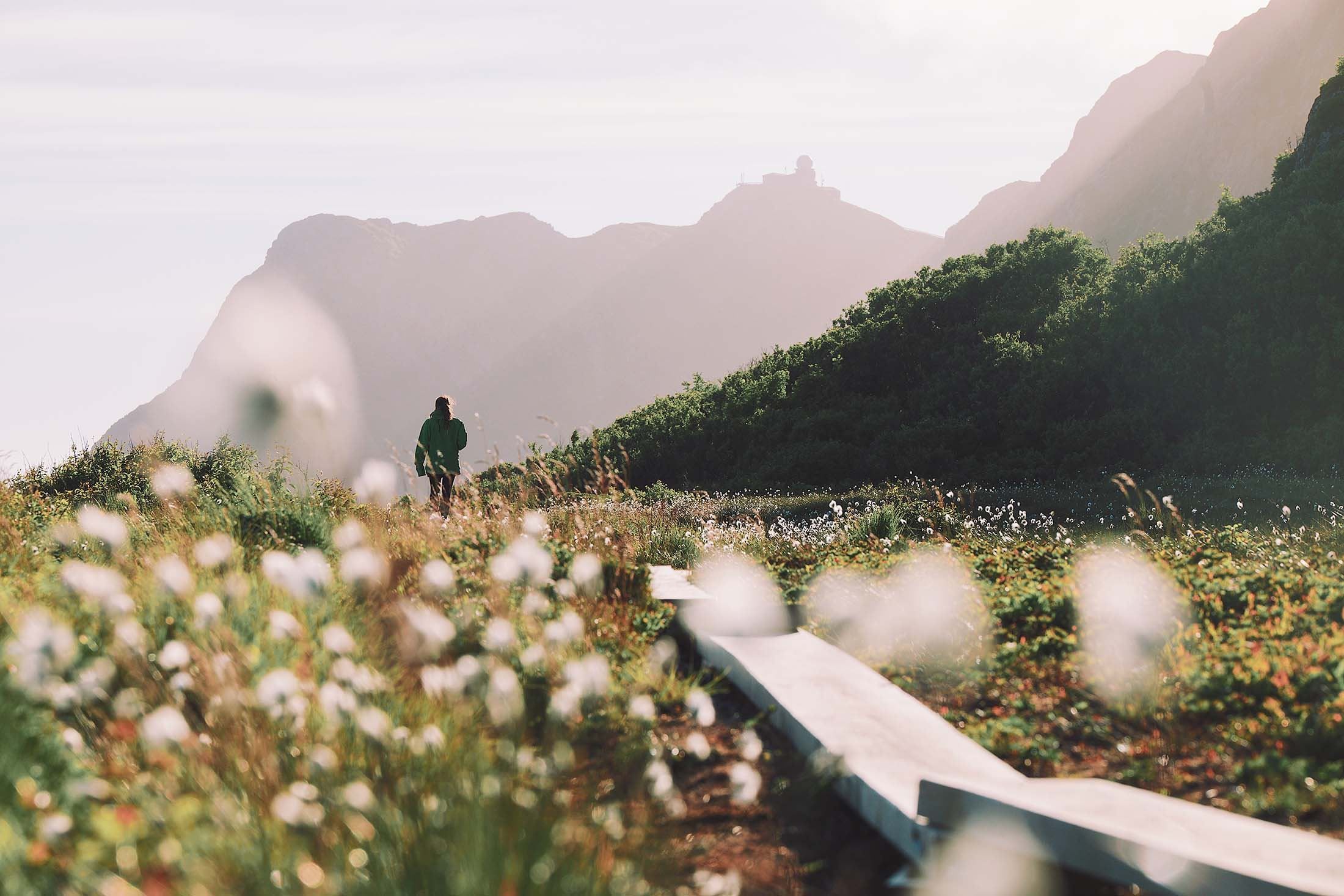 Coast trail - The Queen's Route