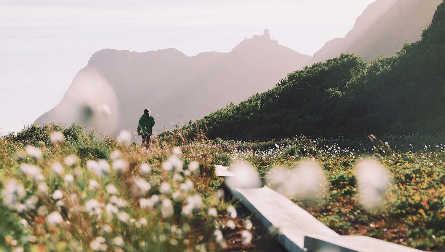 Coast trail - The Queen's Route