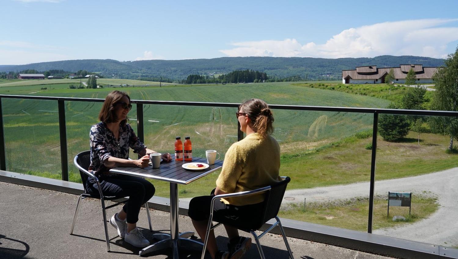 Veien Kulturminnepark, utekafé, Hønefoss.