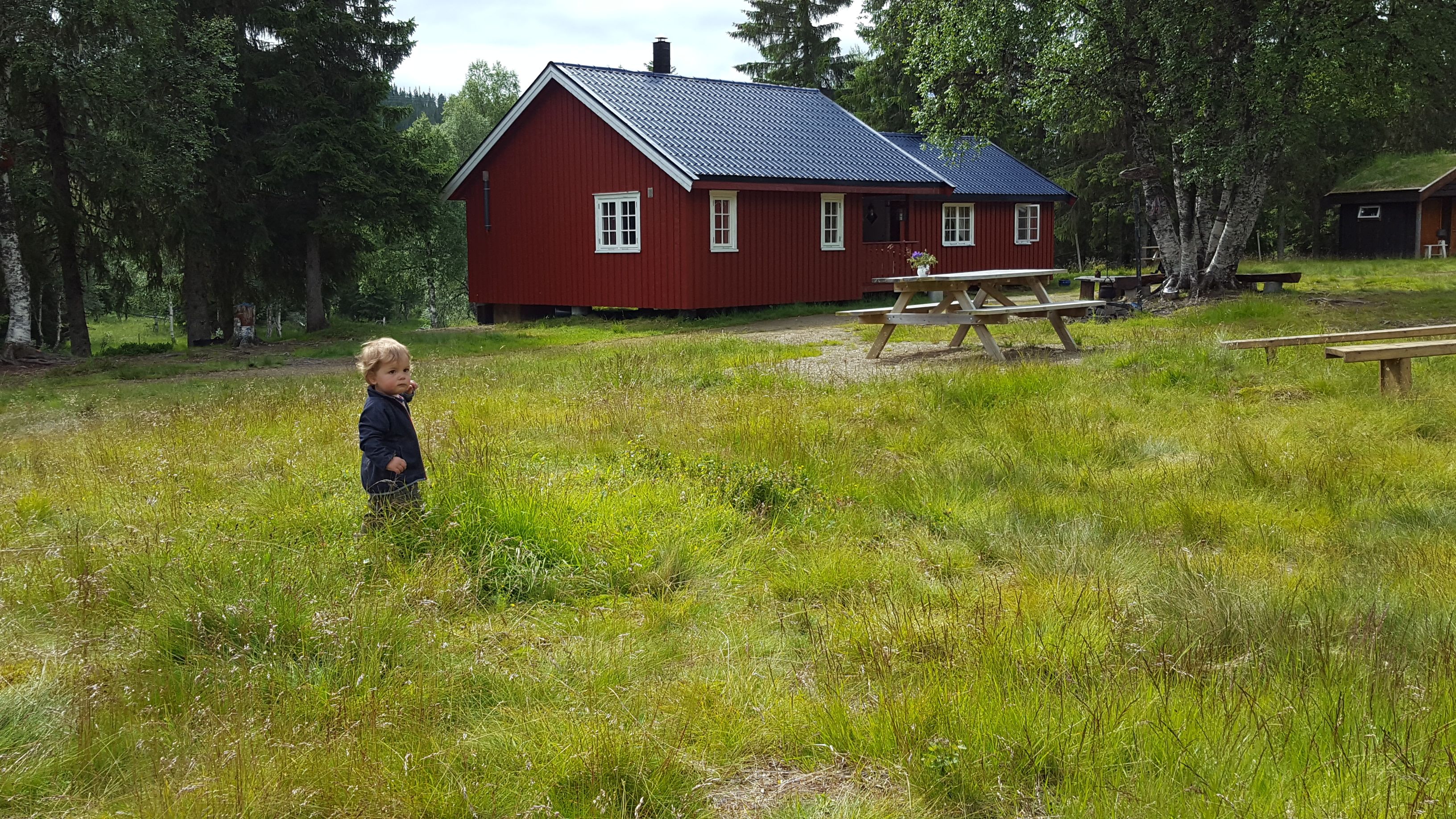Deler av seteranlegget hos Holsingseteren
