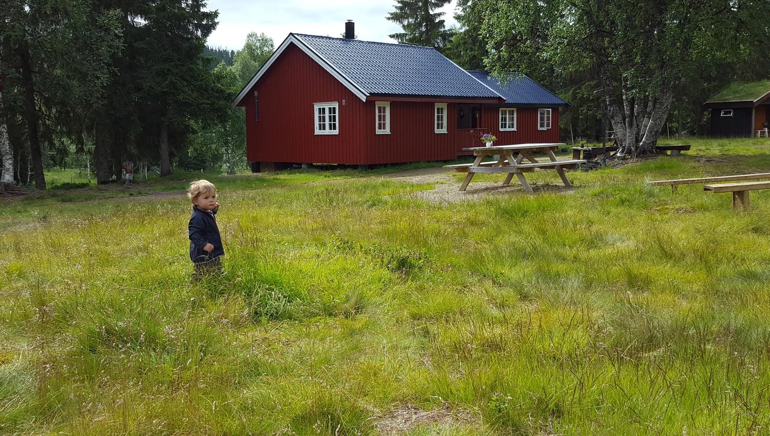 Deler av seteranlegget hos Holsingseteren