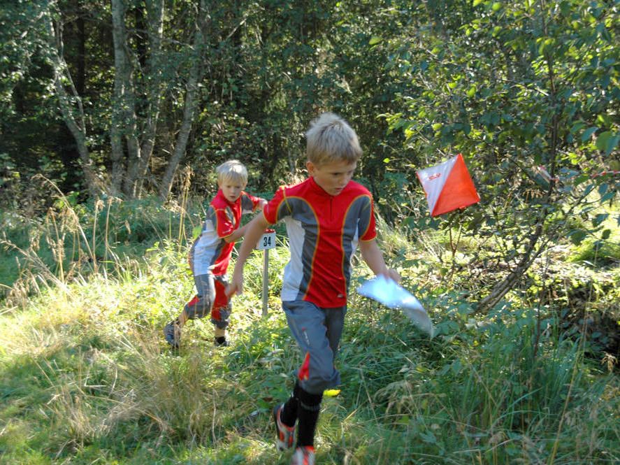 Orientering i Ål