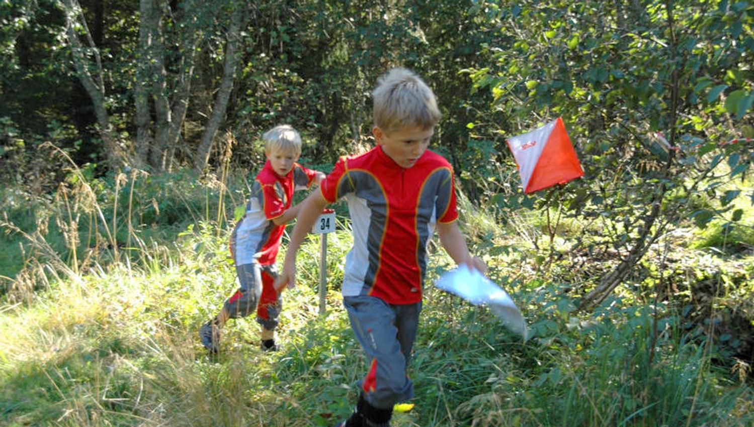 Orientering i Ål