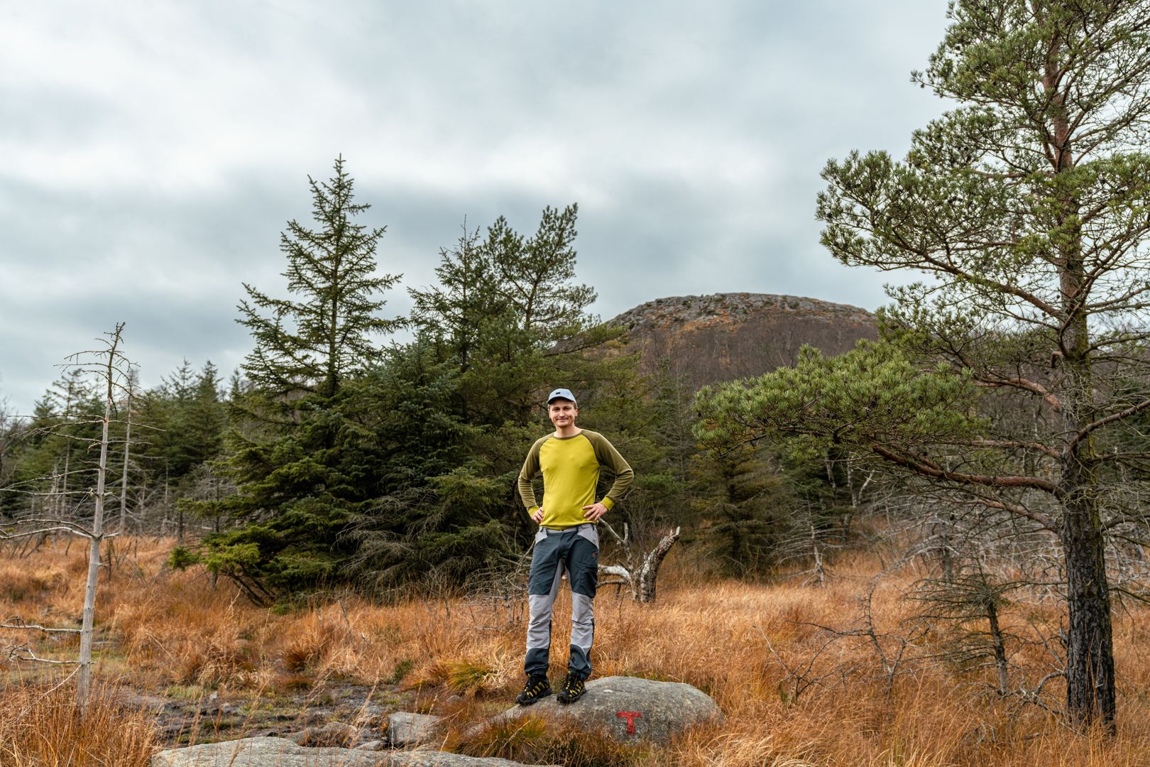 Ready for a guided hike to Dalsnuten?