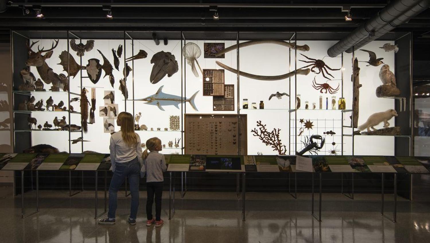 Helgeland Museum