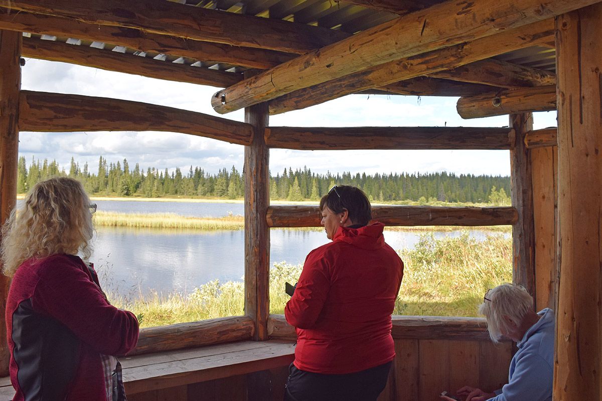 web_Fuglesskjul Kittilbu_DSC_0354_Morten Liebe