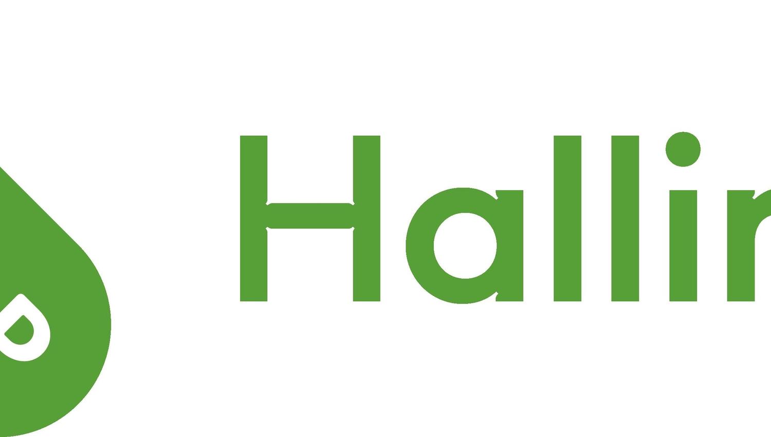 Logo_Lk_P362_Hallingdal