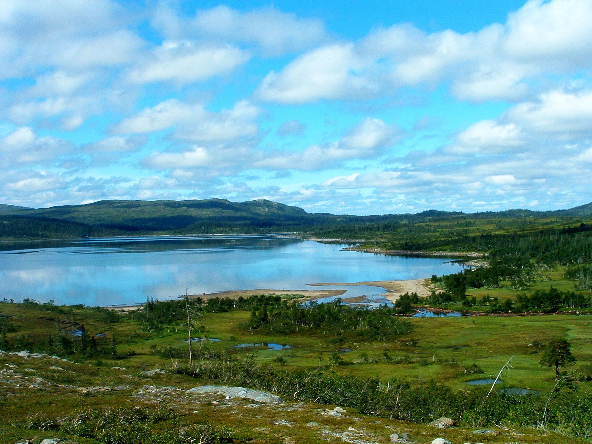 steinkjer steinkjer kommuneskoger vandring Skjækervatnet WEB