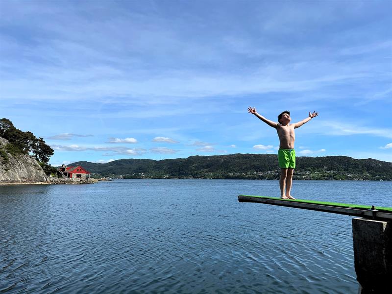 Stupebrettet Grønevika Arboretet
