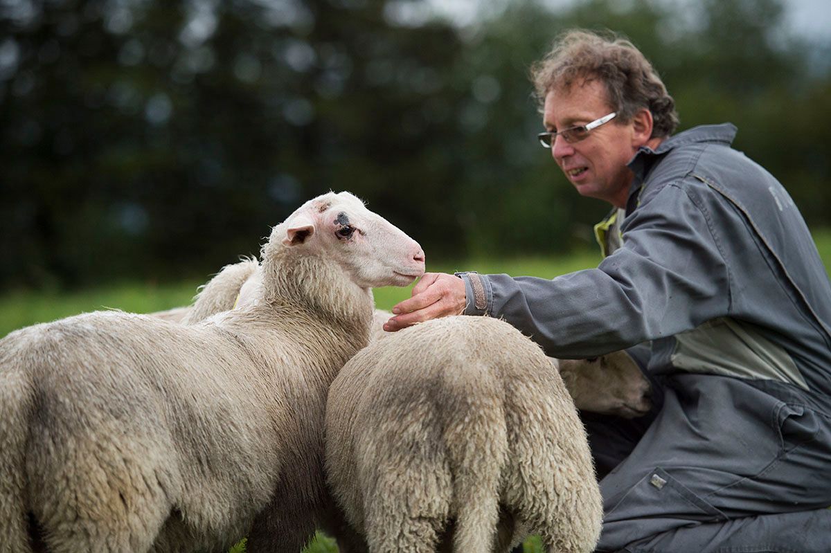 Copyright: Valdres Natur- og Kulturpark