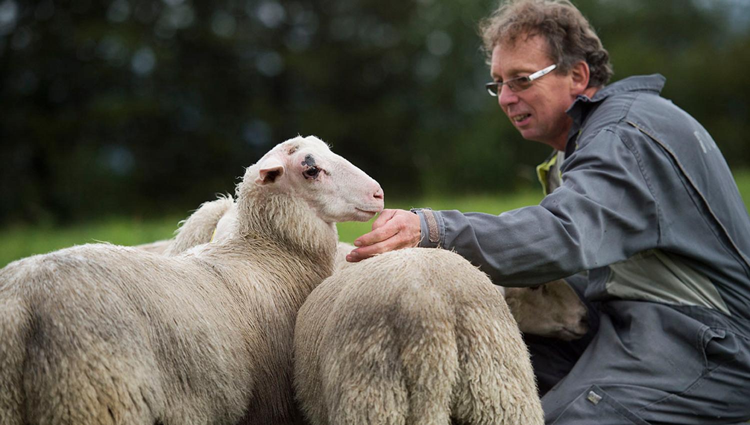Copyright: Valdres Natur- og Kulturpark