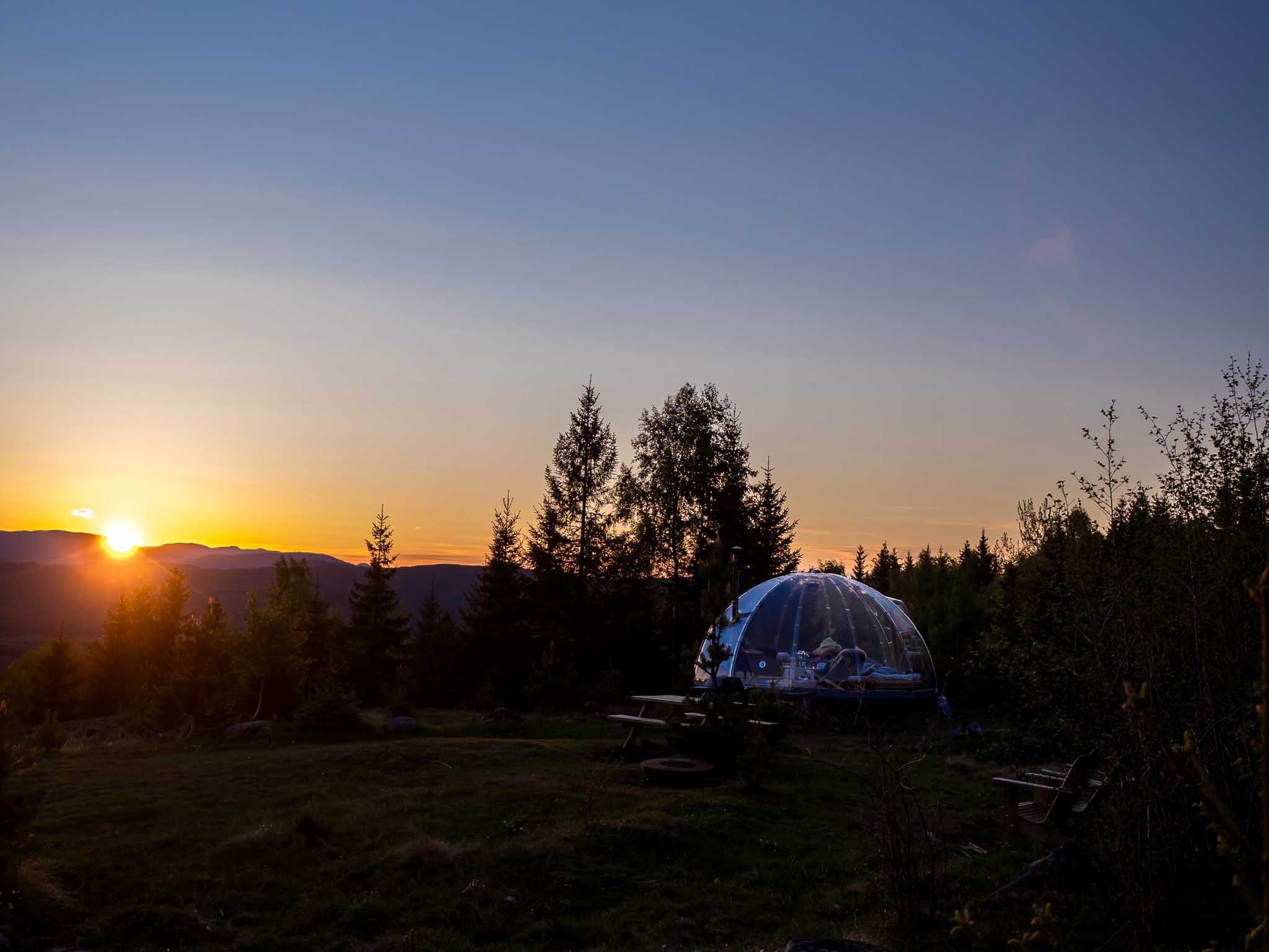 Iglo omgitt av skog i solnedgang