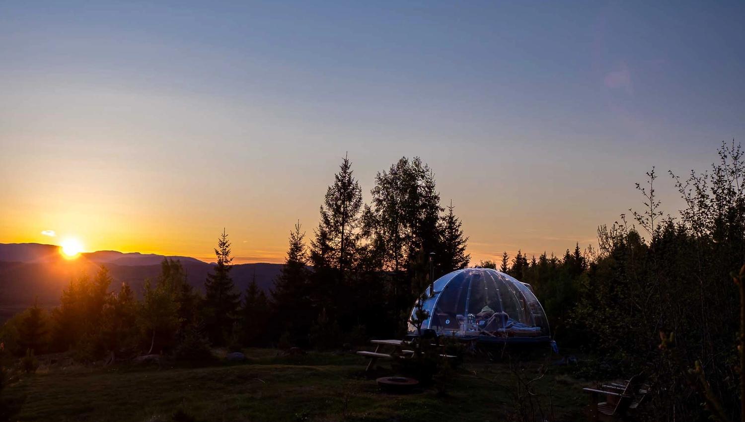 Iglo omgitt av skog i solnedgang