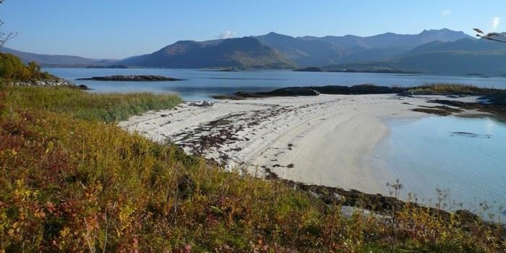 Idylliske strender i Bergsfjorden