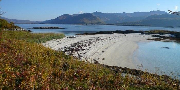 Idylliske strender i Bergsfjorden