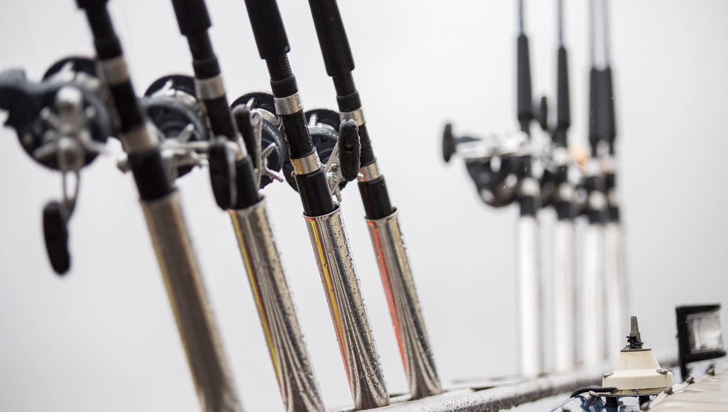 Fiskestenger på rad og rekke