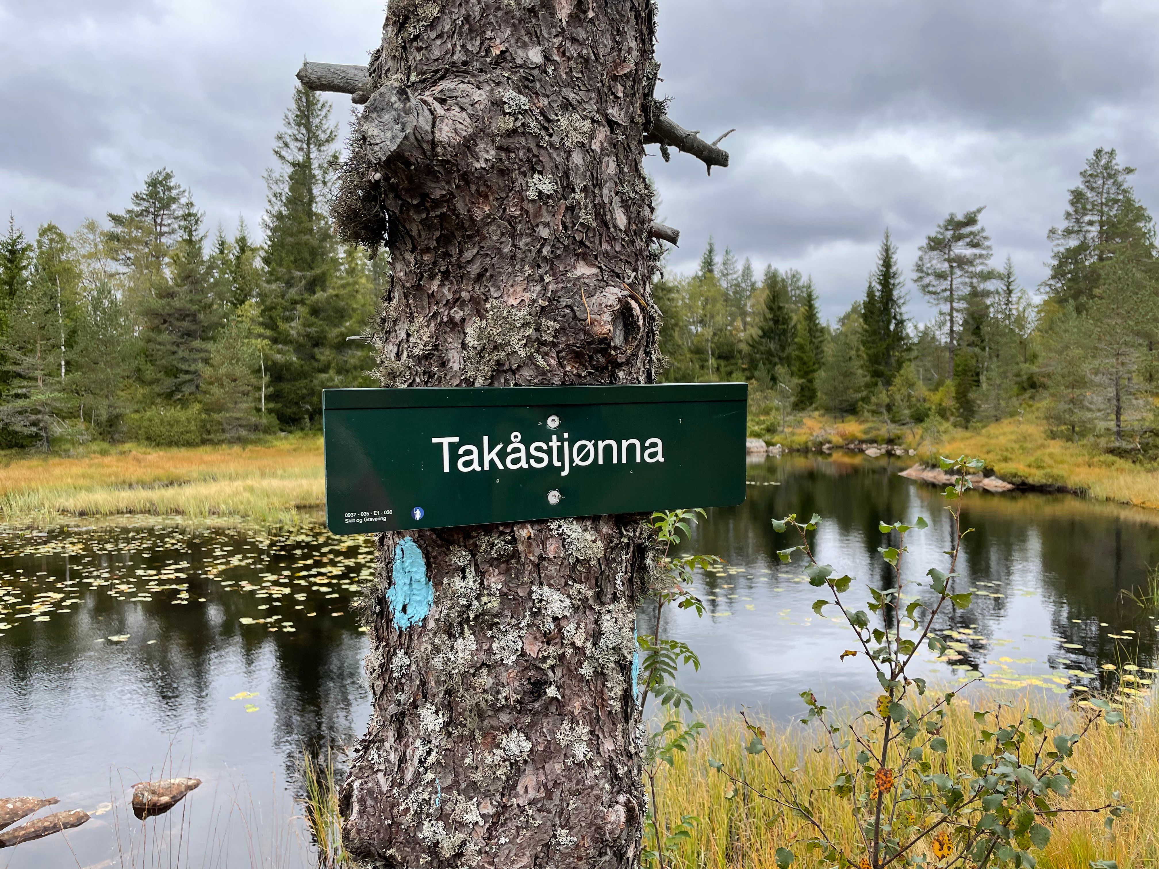 Himmelsyna_6_Foto_Elisabeth_H%C3%B8ibo%C2%A9Visit_S%C3%B8rlandet