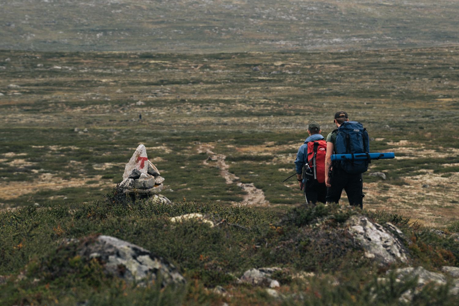 Hardangervidda x Yrjan Olsnes 2021-08252