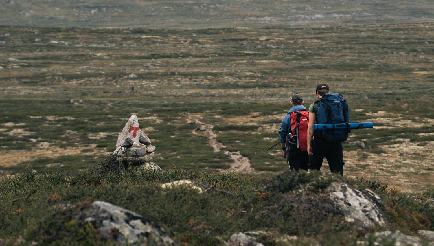 Hardangervidda x Yrjan Olsnes 2021-08252