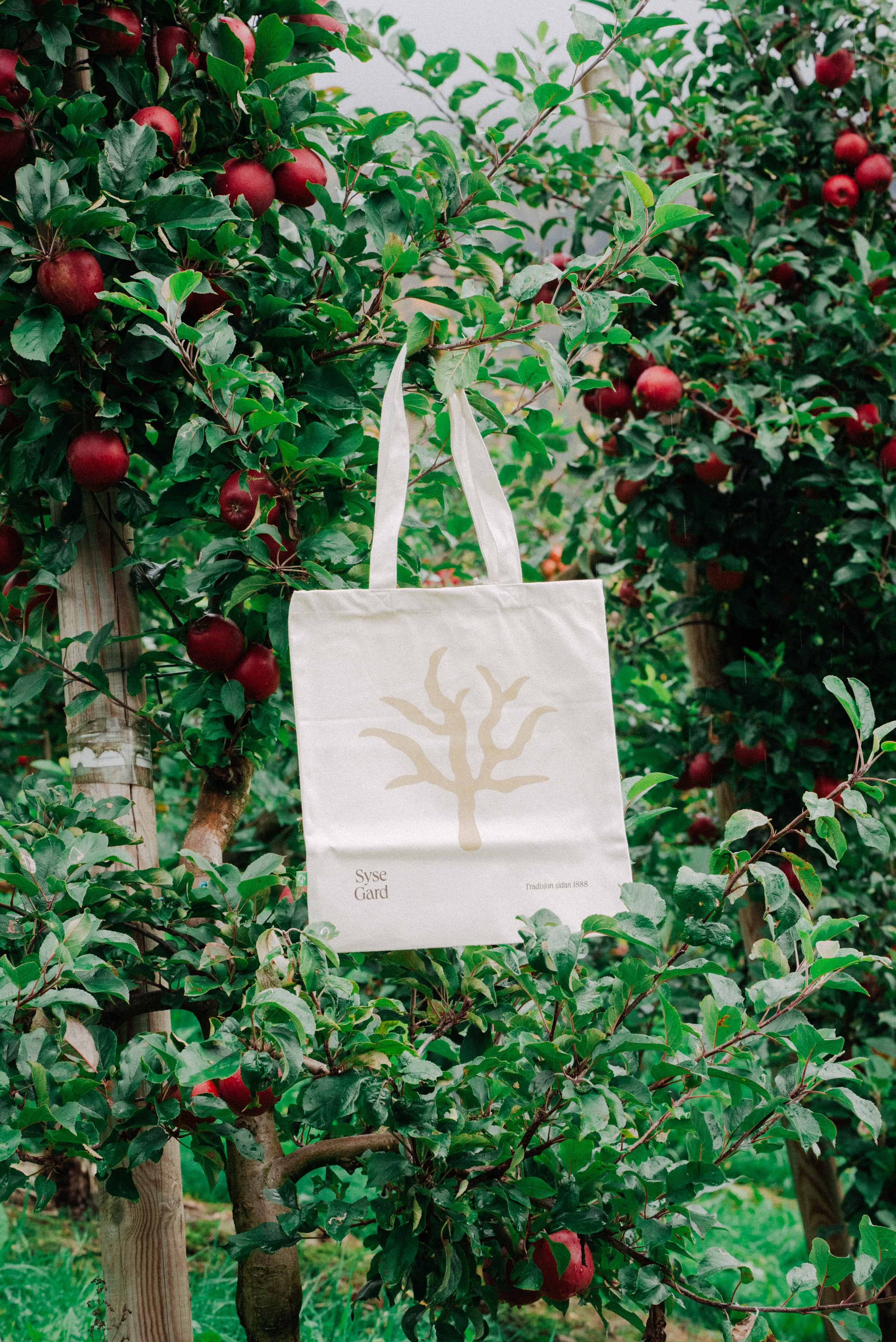 Handlenett frå Syse Gard heng mellom epletrea i frukthagen.