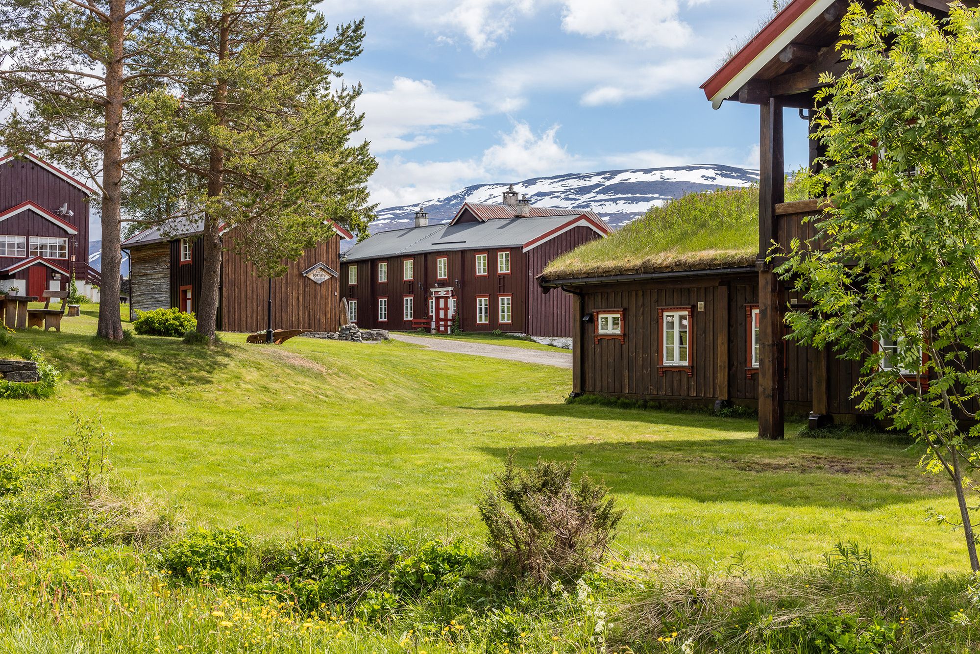 Tunet bak Nystoggo hos Bortisu Gjestegard