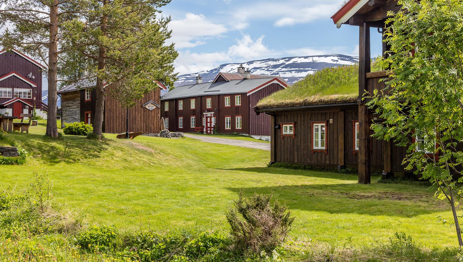 Tunet bak Nystoggo hos Bortisu Gjestegard