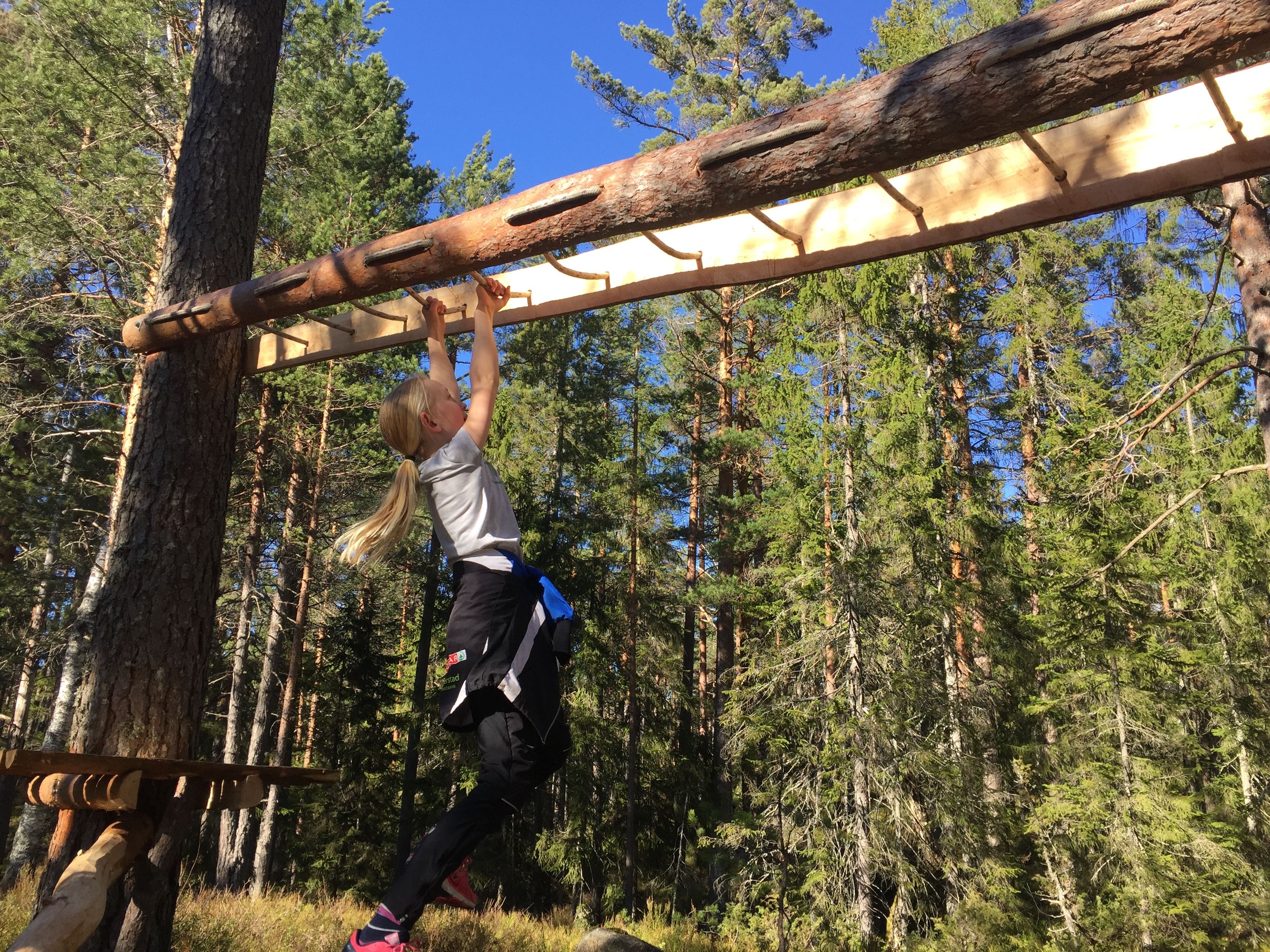 Aktiviteter Trehyttene i Gjerstad