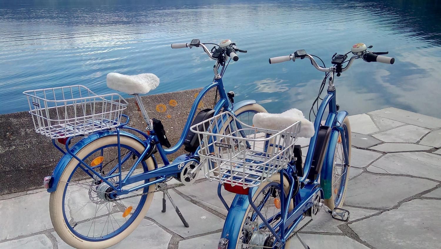 Taxi boat to and from Fjærland