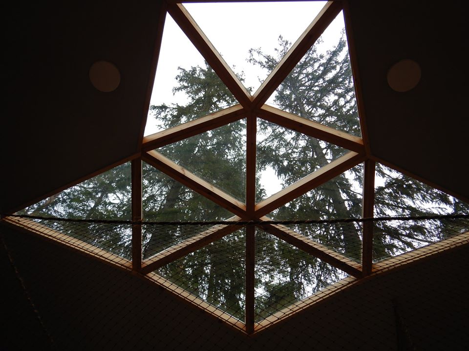 View to the forrest through the window