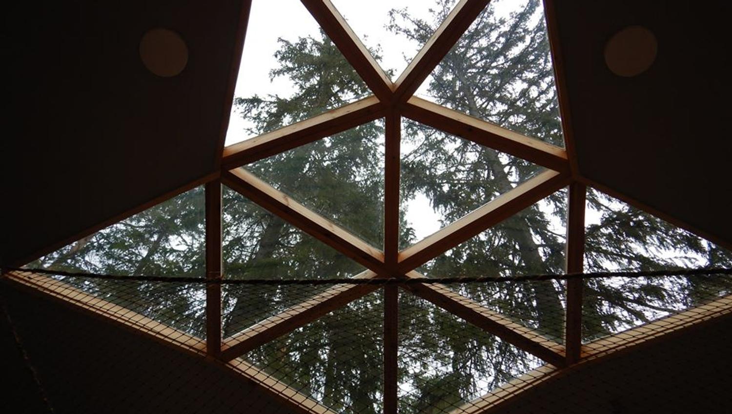 View to the forrest through the window