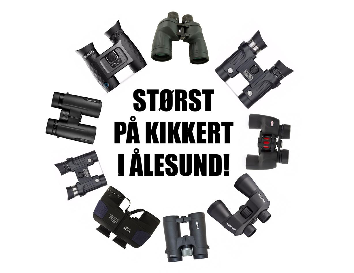 Kikkerter