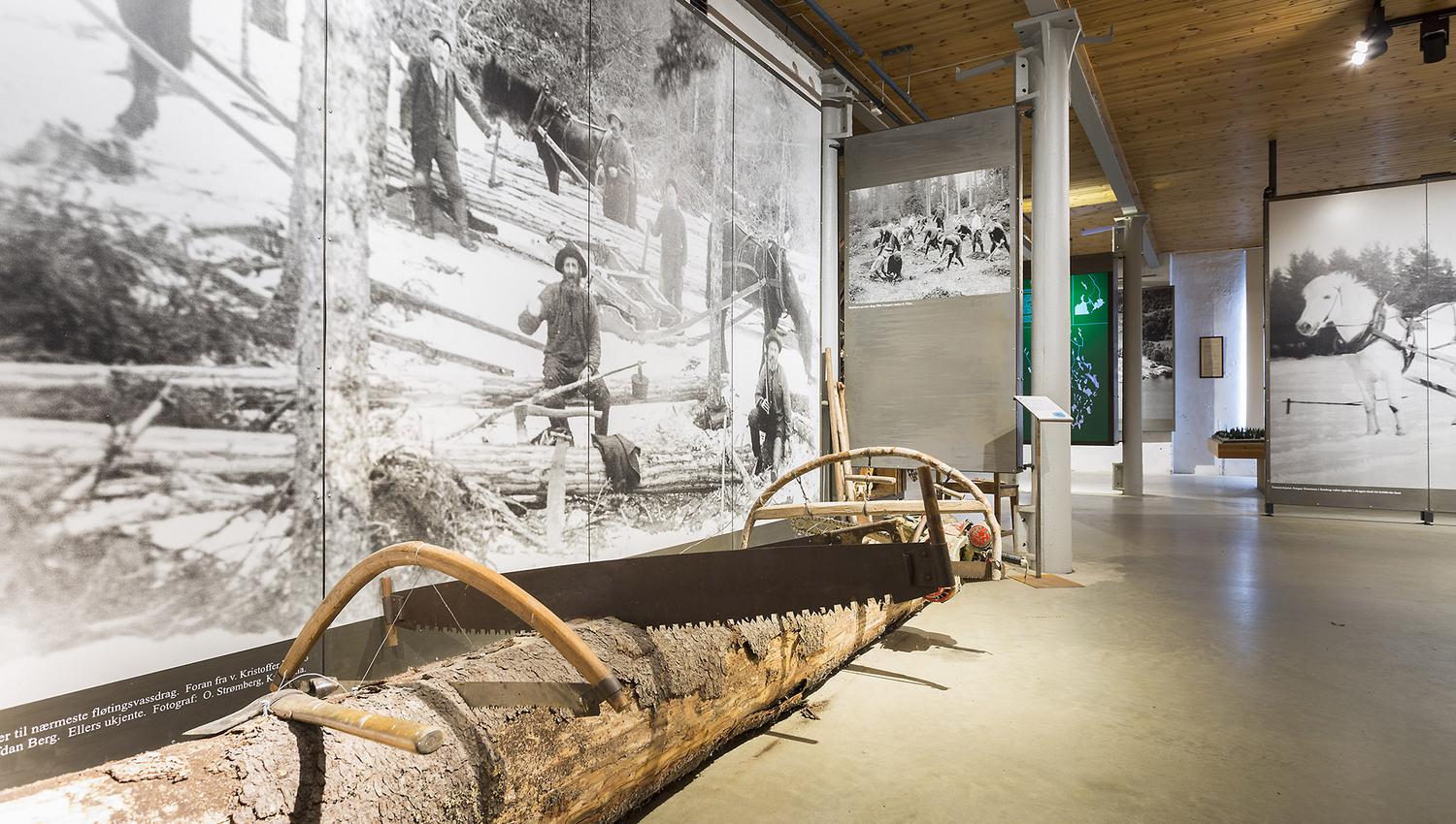 Bildet viser en museumsutstilling om tømmerhogst. Dette er på Ørje museum. Det ligger en stor tømmerstokk med en gammel håndsag på gulvet, og bak den henger store svart-hvite bilder som viser folk som hogger trær i skogen. Rommet har høyt tak og trevegger.