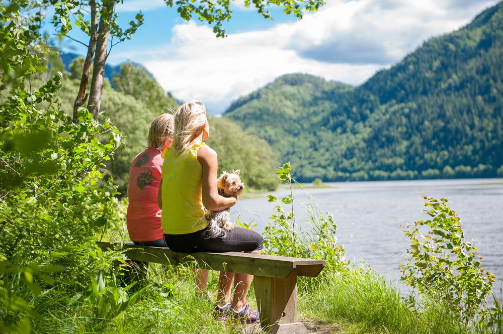 2 damer med en liten hund sitter på en benk og ser ut over vannet