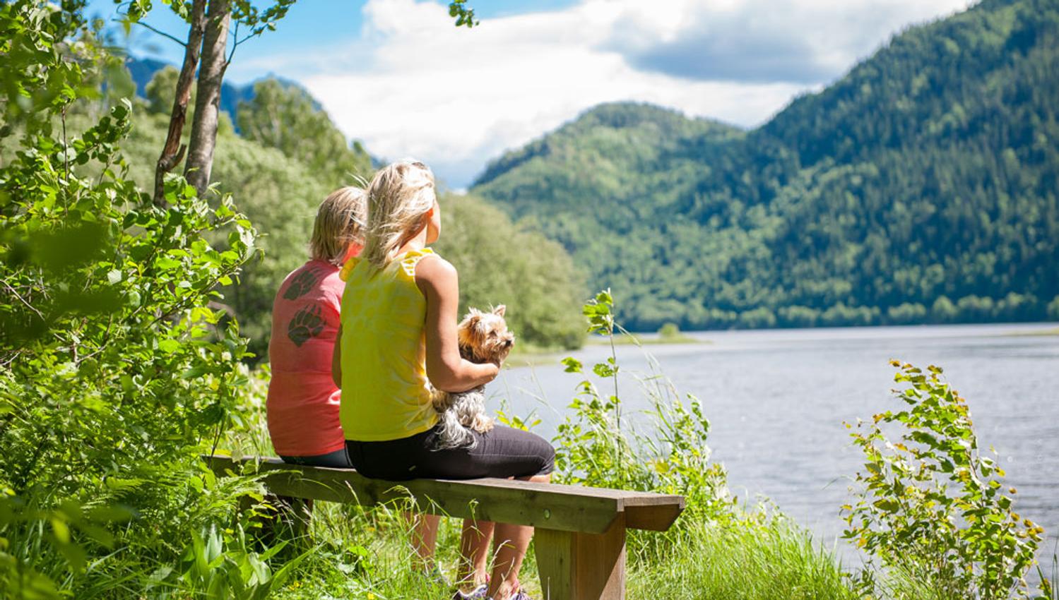 2 damer med en liten hund sitter på en benk og ser ut over vannet