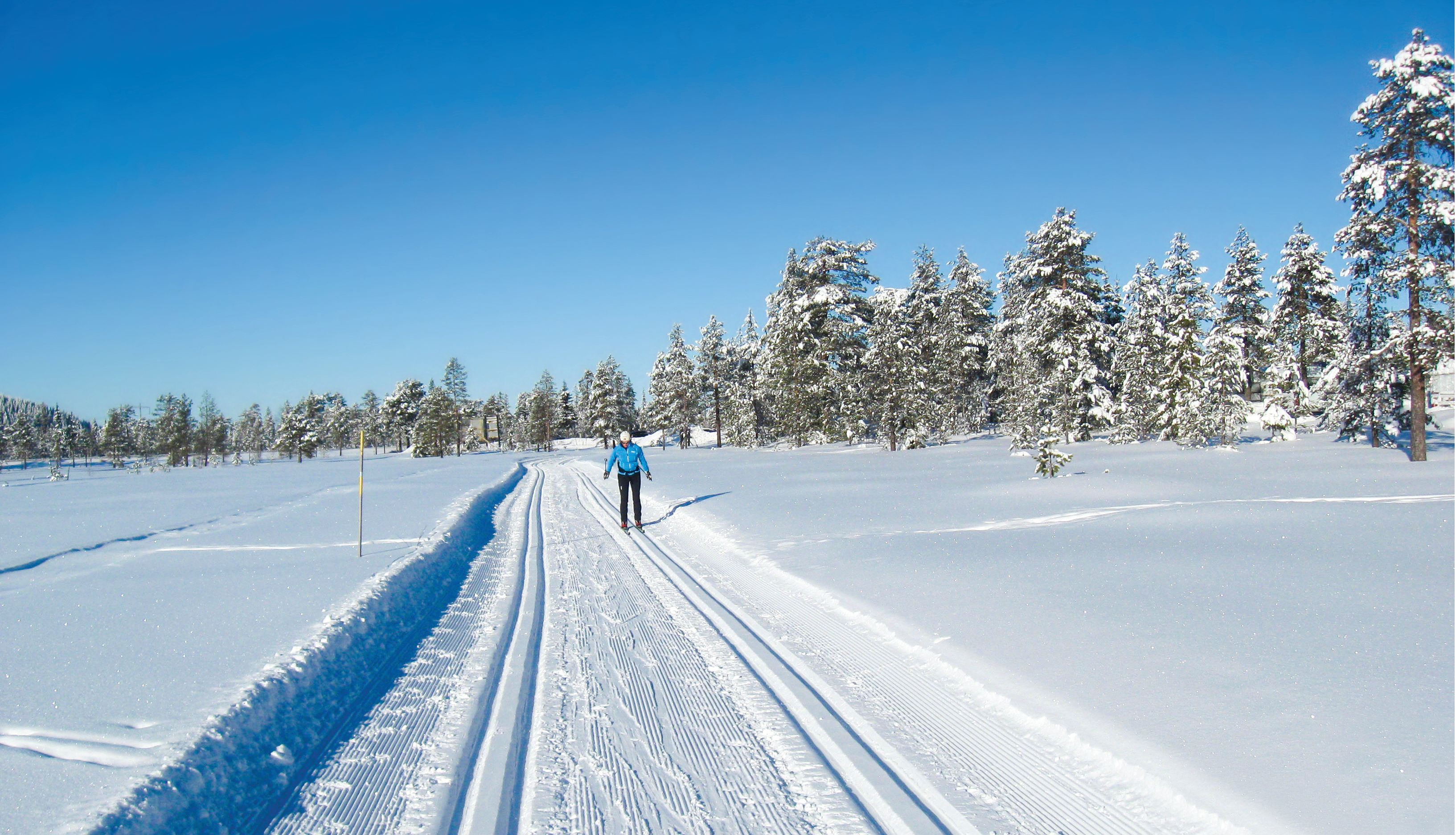 Lygnalia hytter 4 - Ski, turopplevelser, og hytter på ett sted
