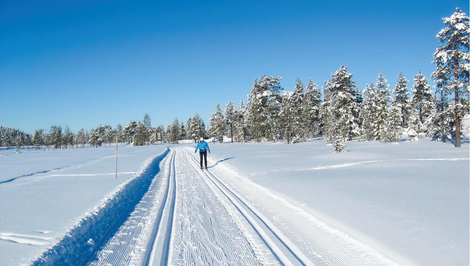 Lygnalia hytter 4 - Ski, turopplevelser, og hytter på ett sted