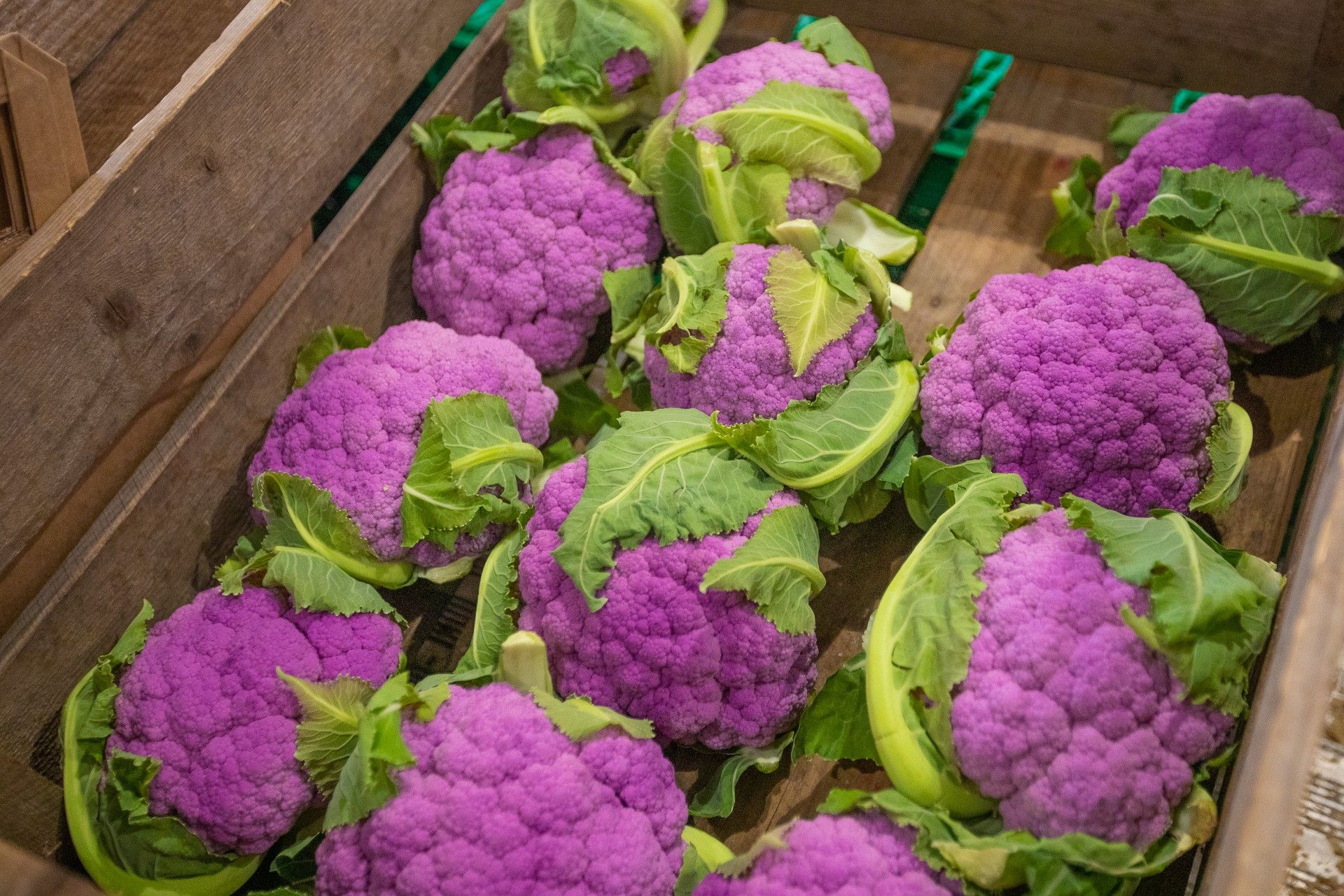 Sognasmak - Farmers market