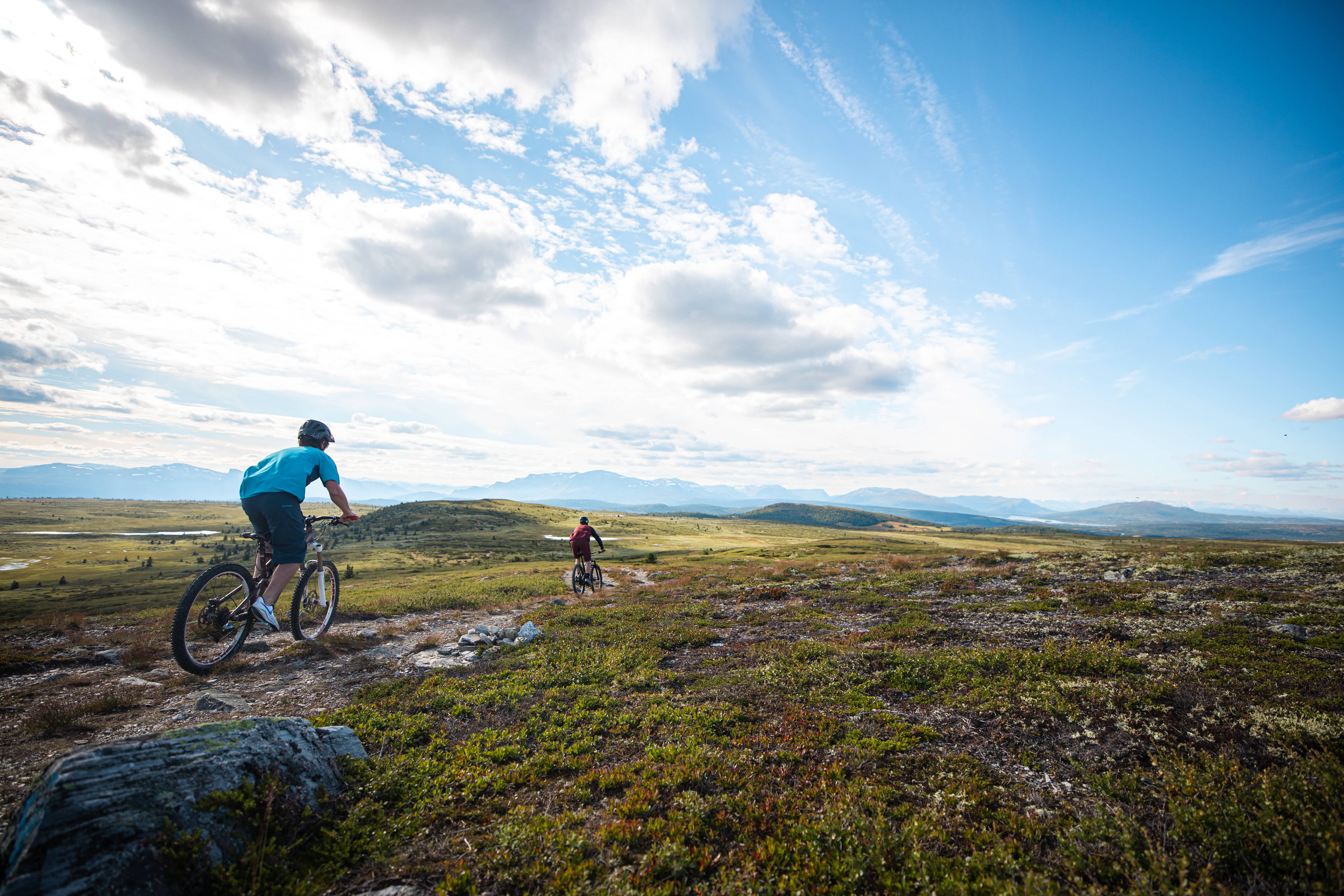 PALL1416 - Paul Lochart