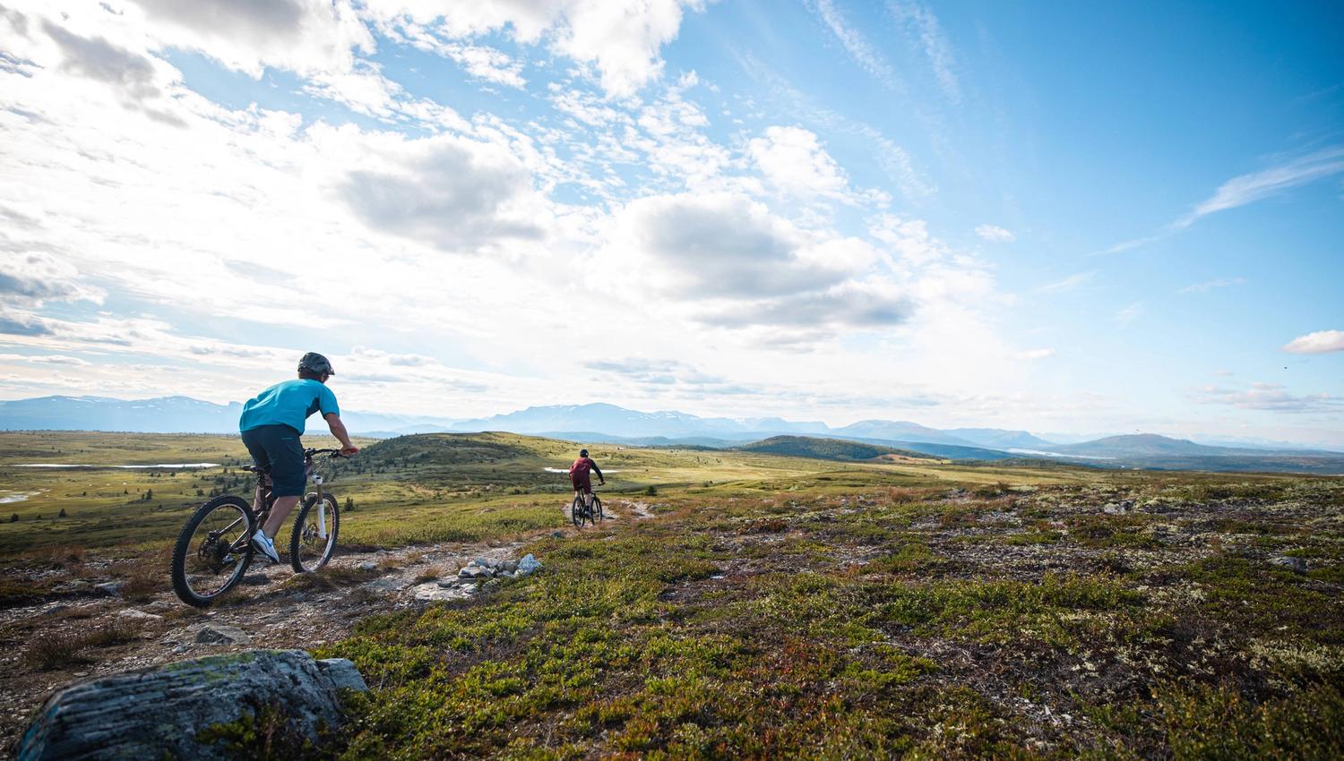 PALL1416 - Paul Lochart