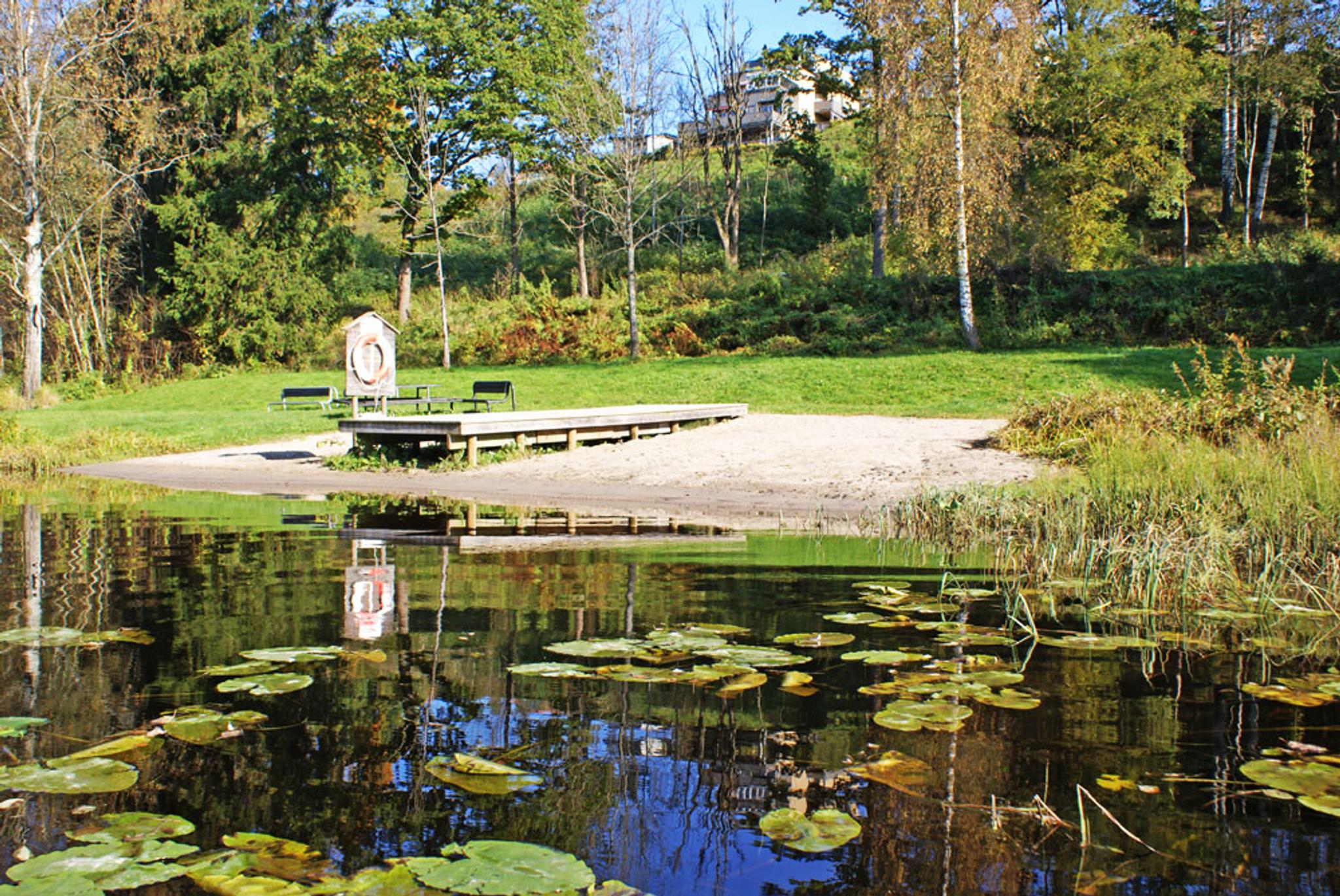 Falkumlia bathing area with sandy beach and jetty